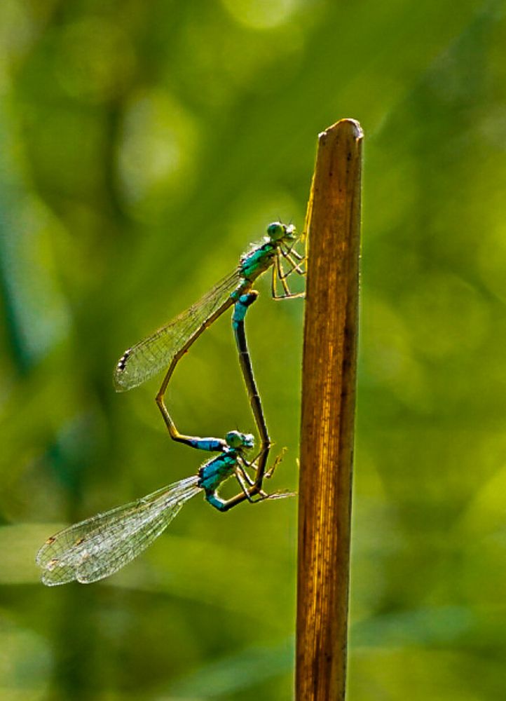 Photograph by Владимир Орлов