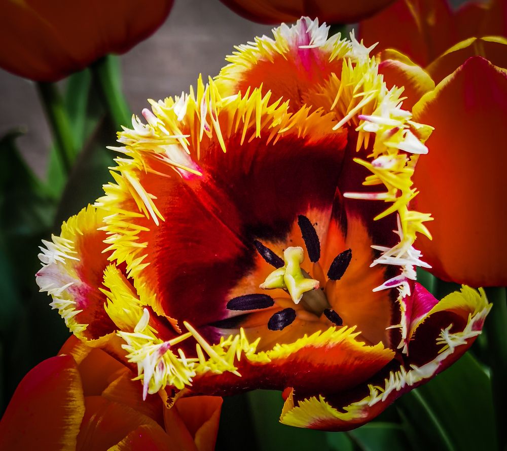 Photograph by Владимир Орлов