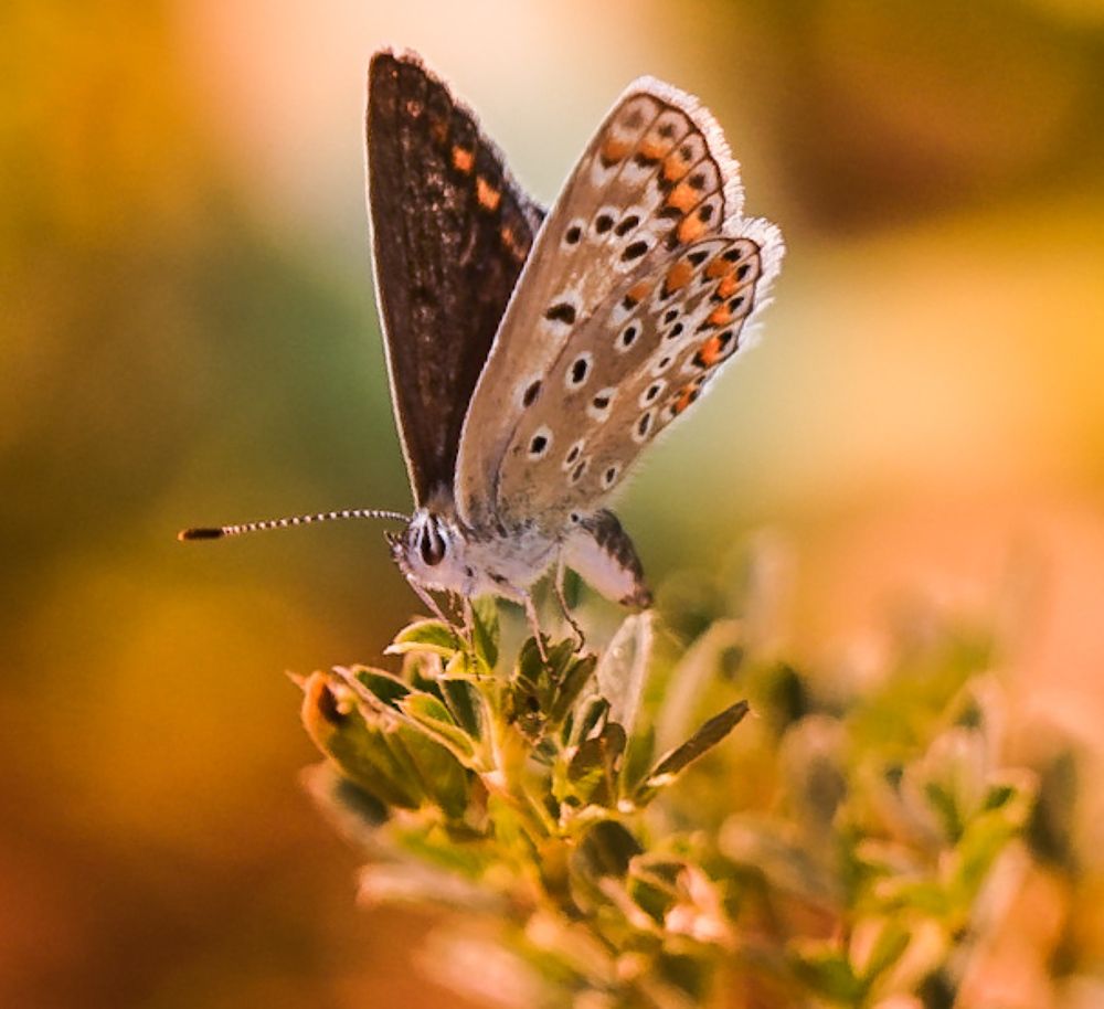 Photograph by Владимир Орлов