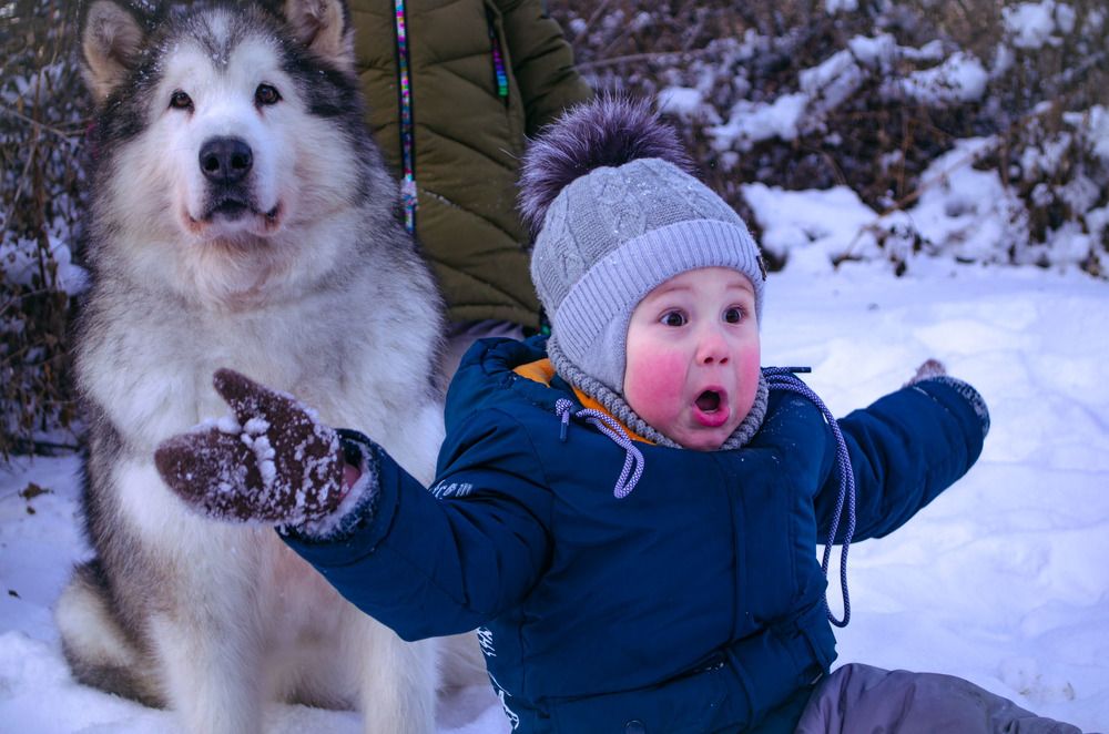 Фотография автора Анастасия Рахвалова