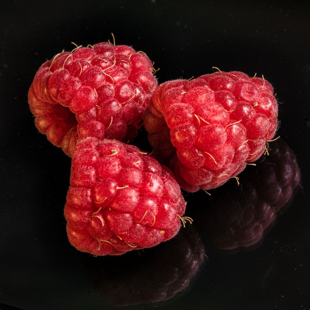 Photograph by Aleksandr Belov