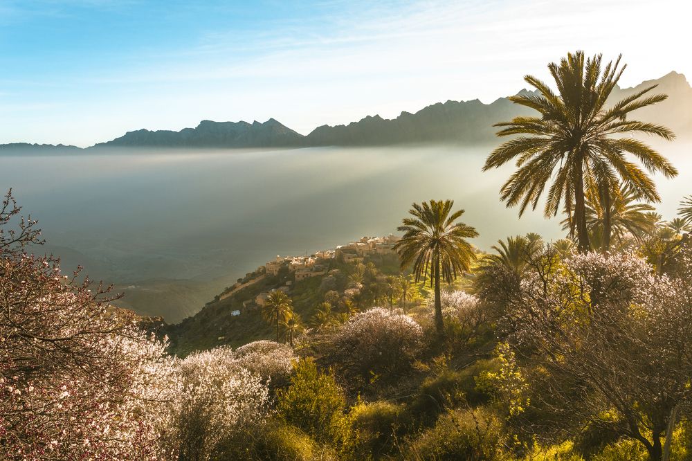 Photograph by Salim Alhajri