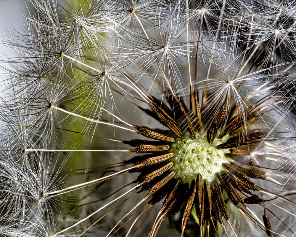 Photograph by Aleksandr Belov