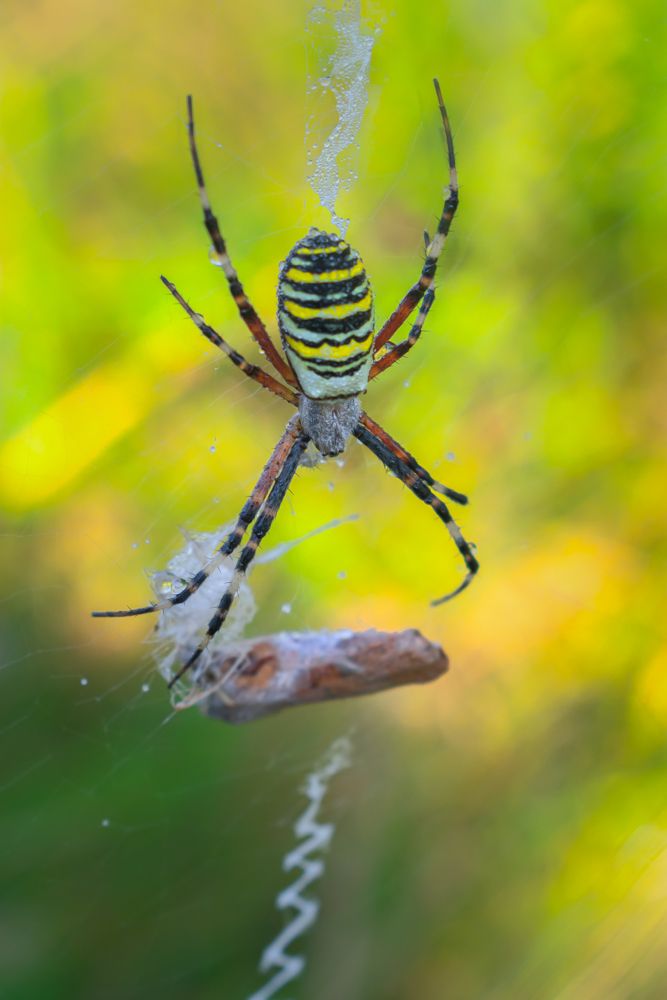 Photograph by Nikita Silyavin