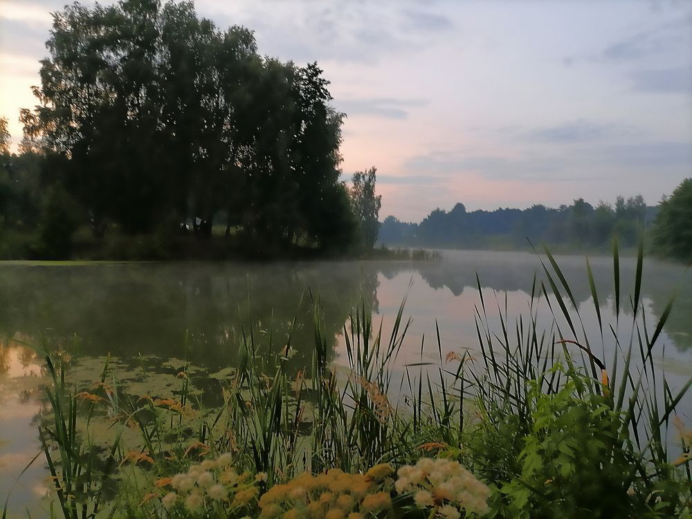 Фотография автора Елена Савельева