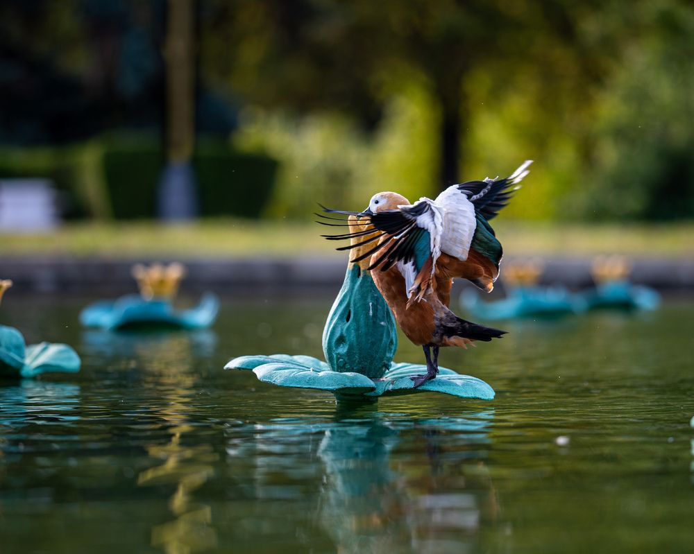 Photograph by Иван Грачев