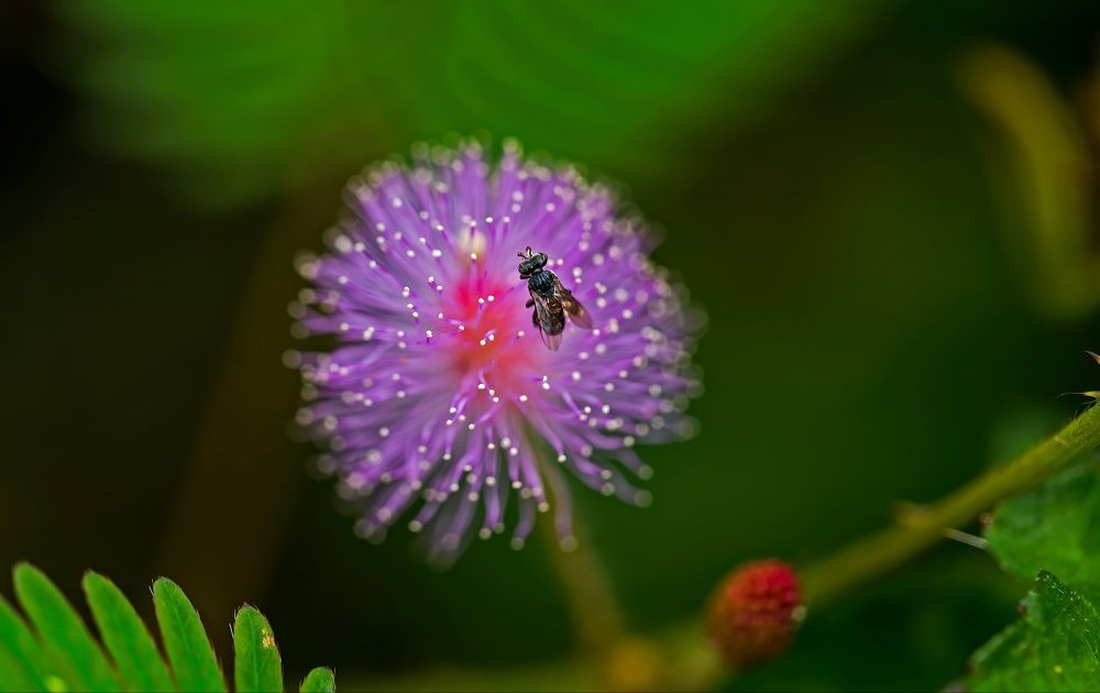 Photograph by Yogesh Deshpande