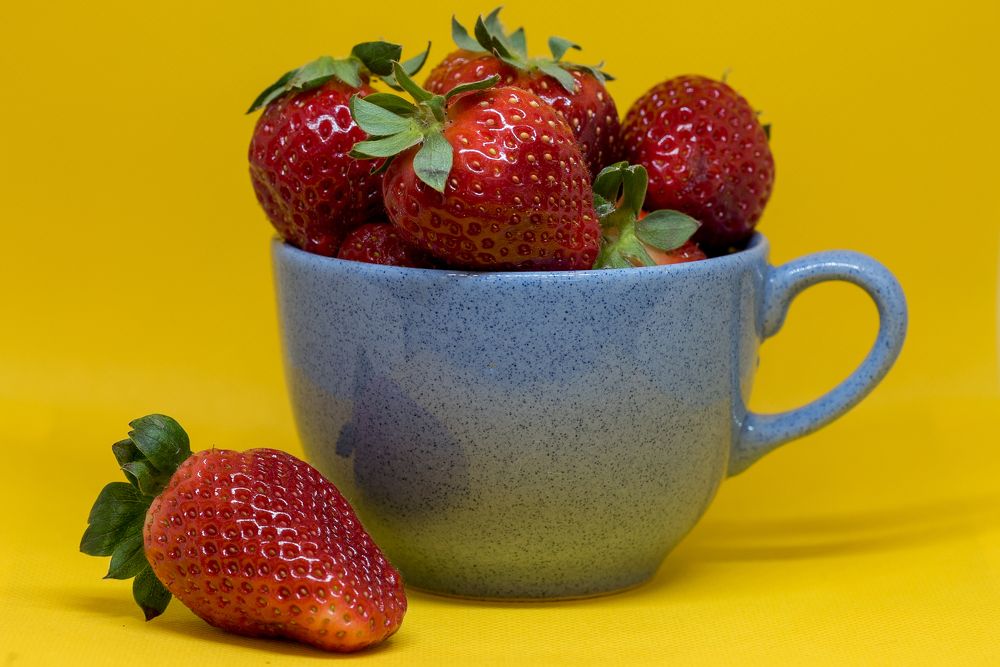 Photograph by Кадырова Марина