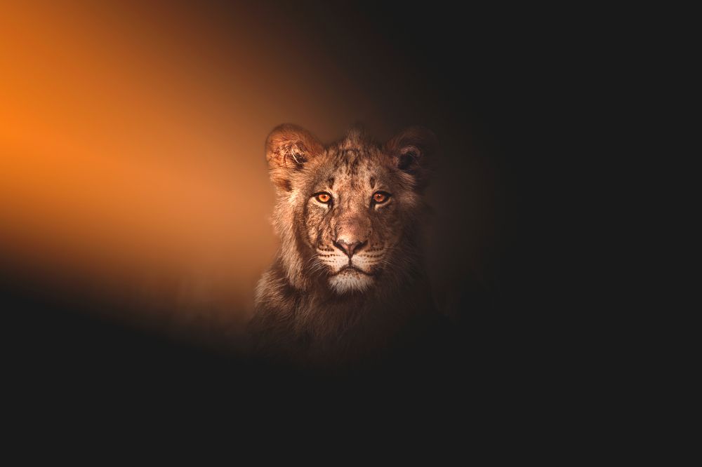 Touched by The Light