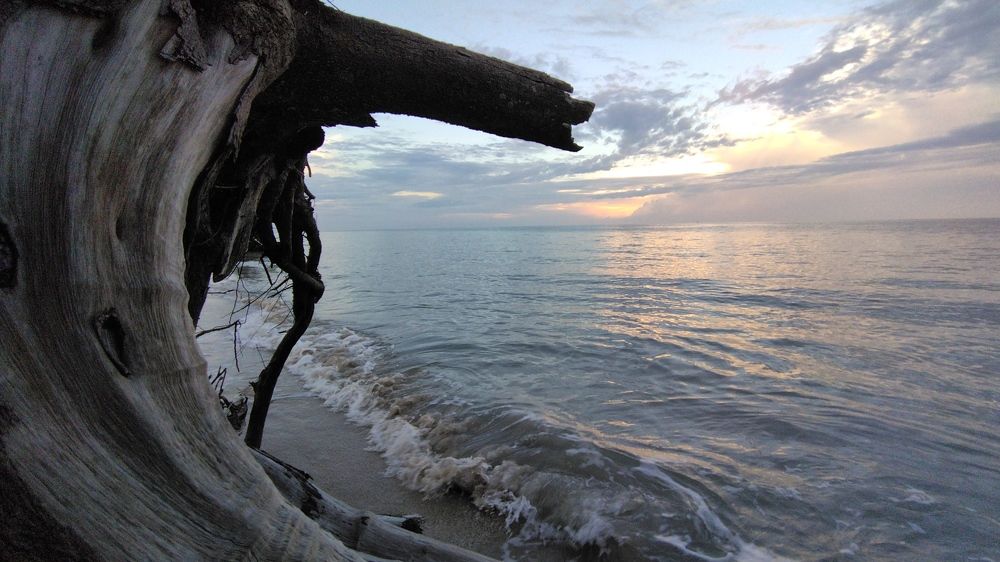 Photograph by Muslimin Muslimin Siddik