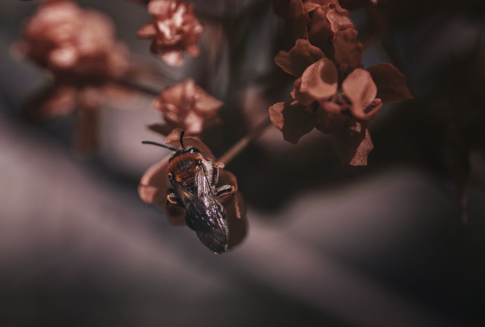 Photograph by Марина Баргетци