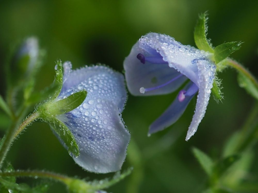 Я тебя вижу!!!