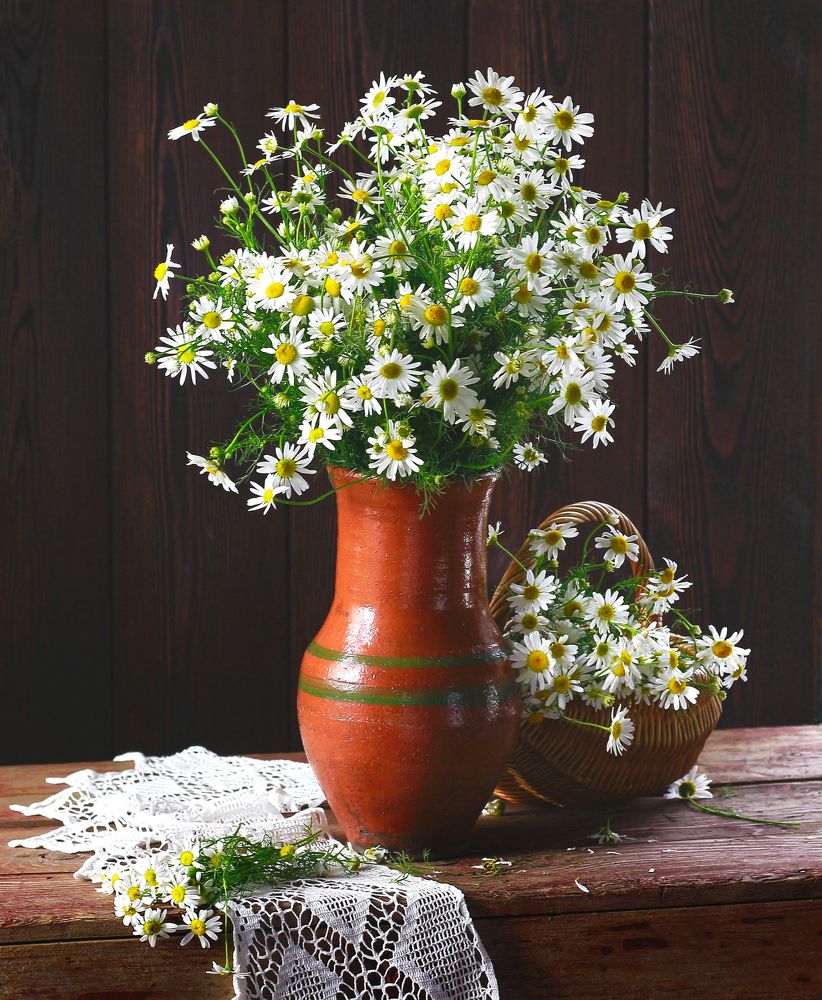 Ромашки кружевные!