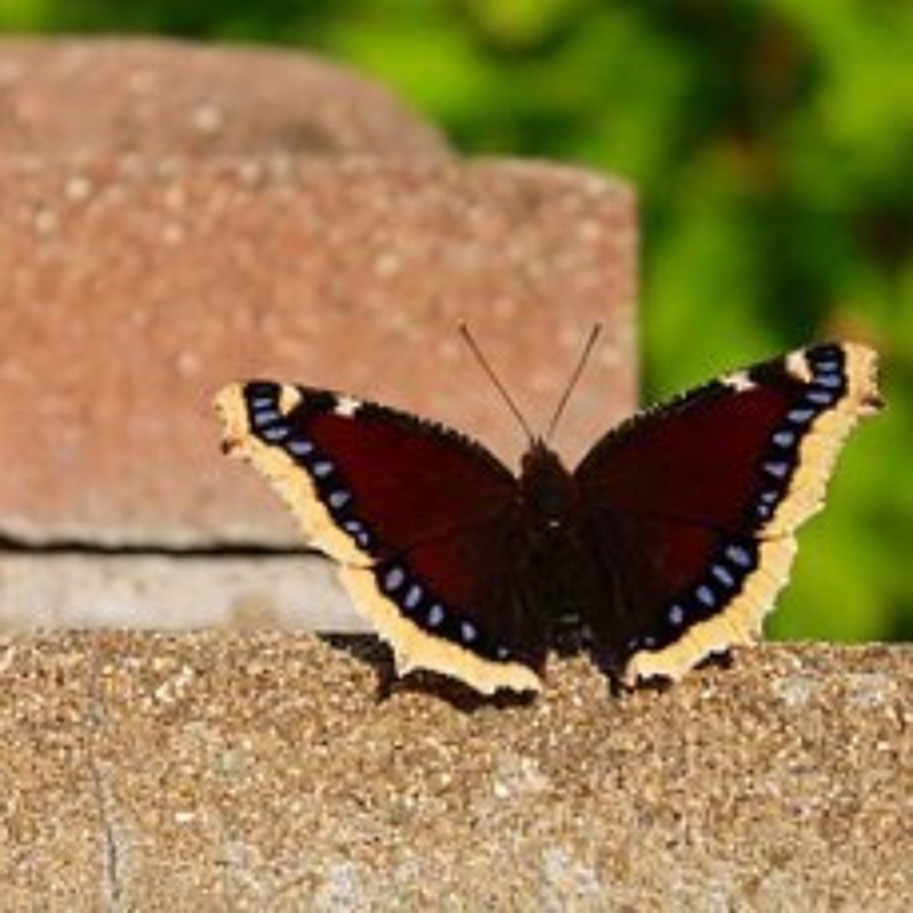 Photograph by Елена Малкова