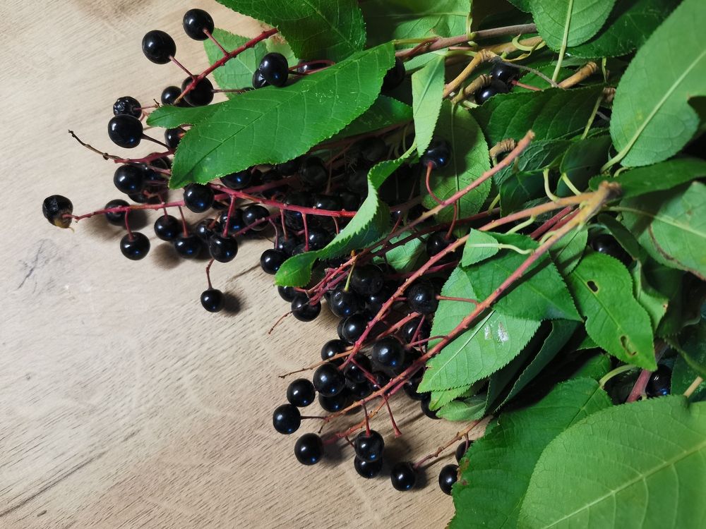 Фотография автора Юлия Лубкина