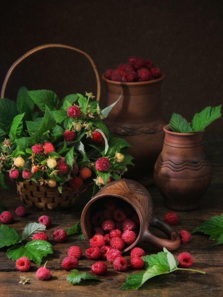 Фотография автора Елена Доянова