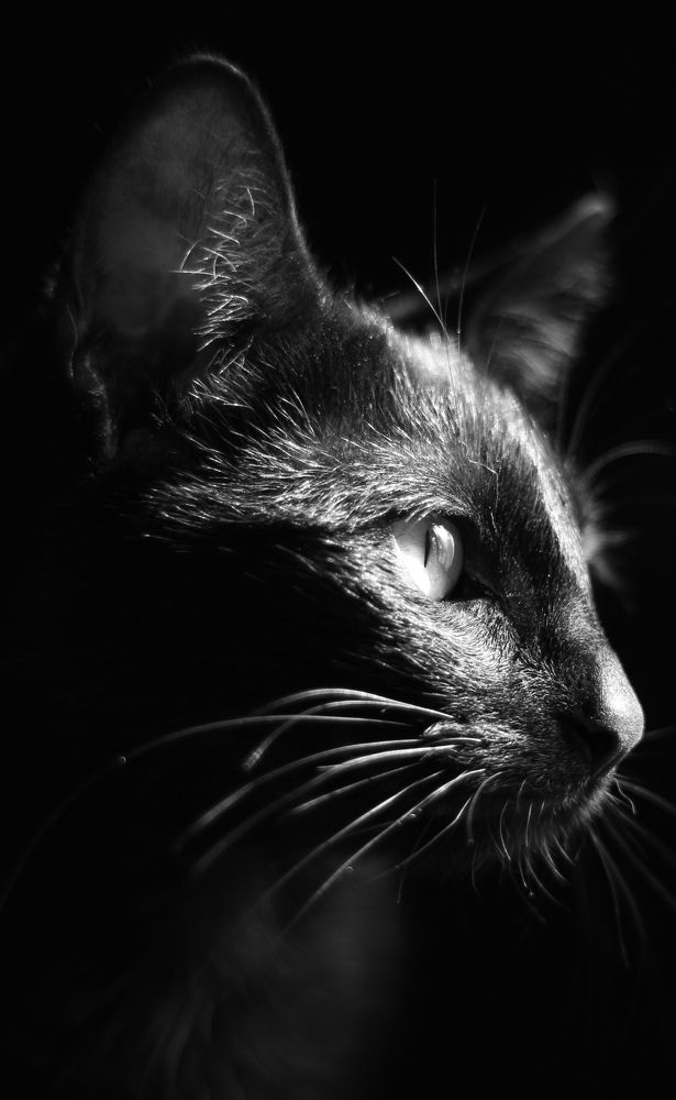 Photograph by Fernando Vergara