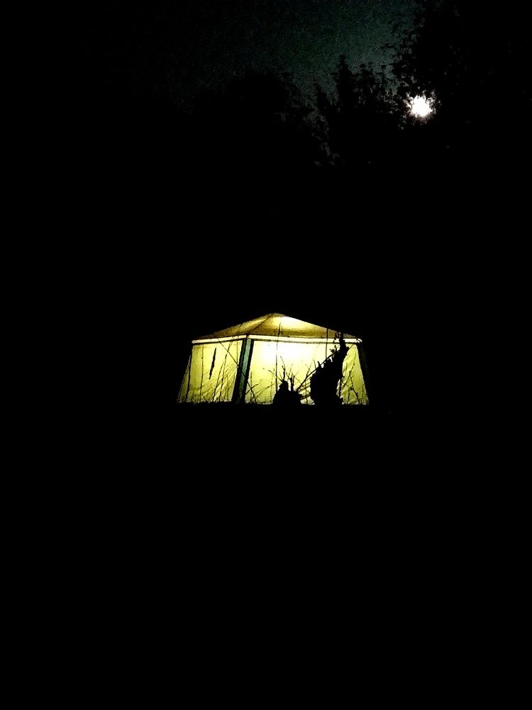 Photograph by Дмитрий