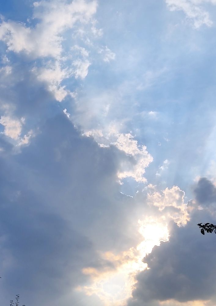 Золотая река.