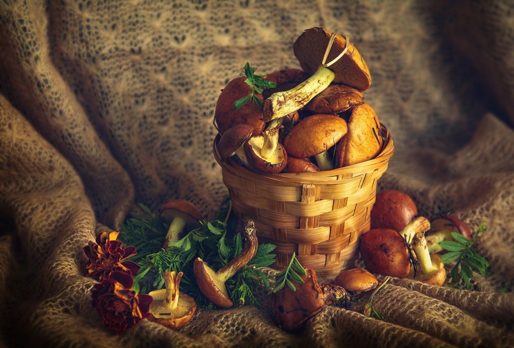 Фотография автора Aлена Хлопова