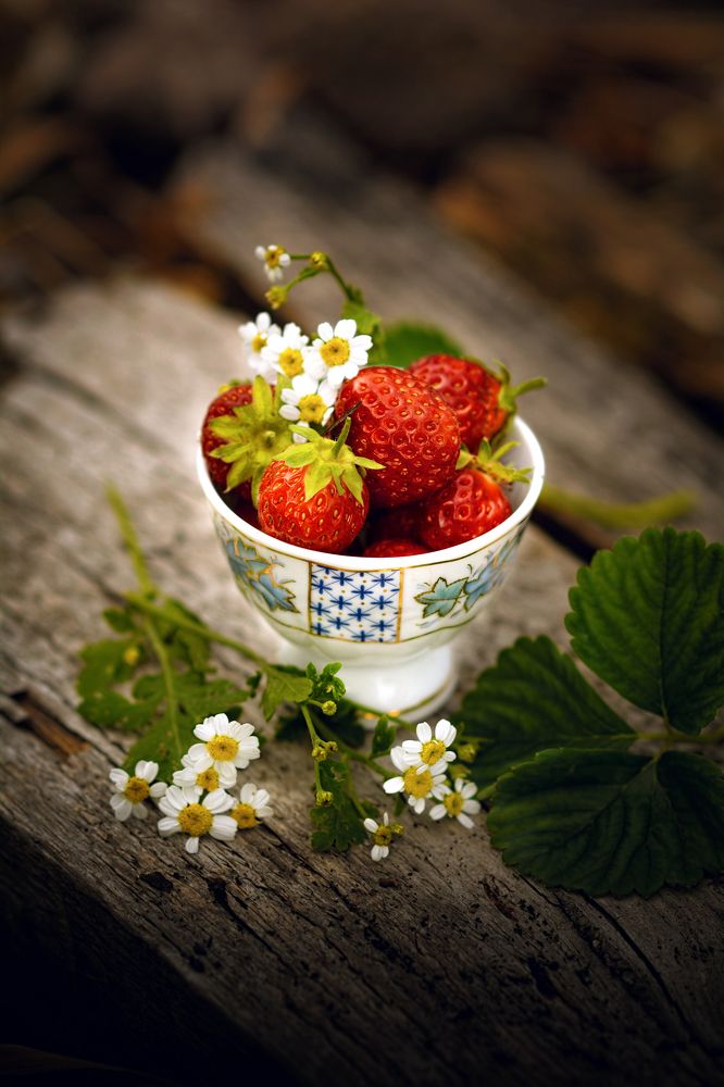 Фотография автора Aлена Хлопова