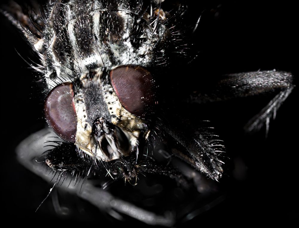 Photograph by Alexander Gorbunov