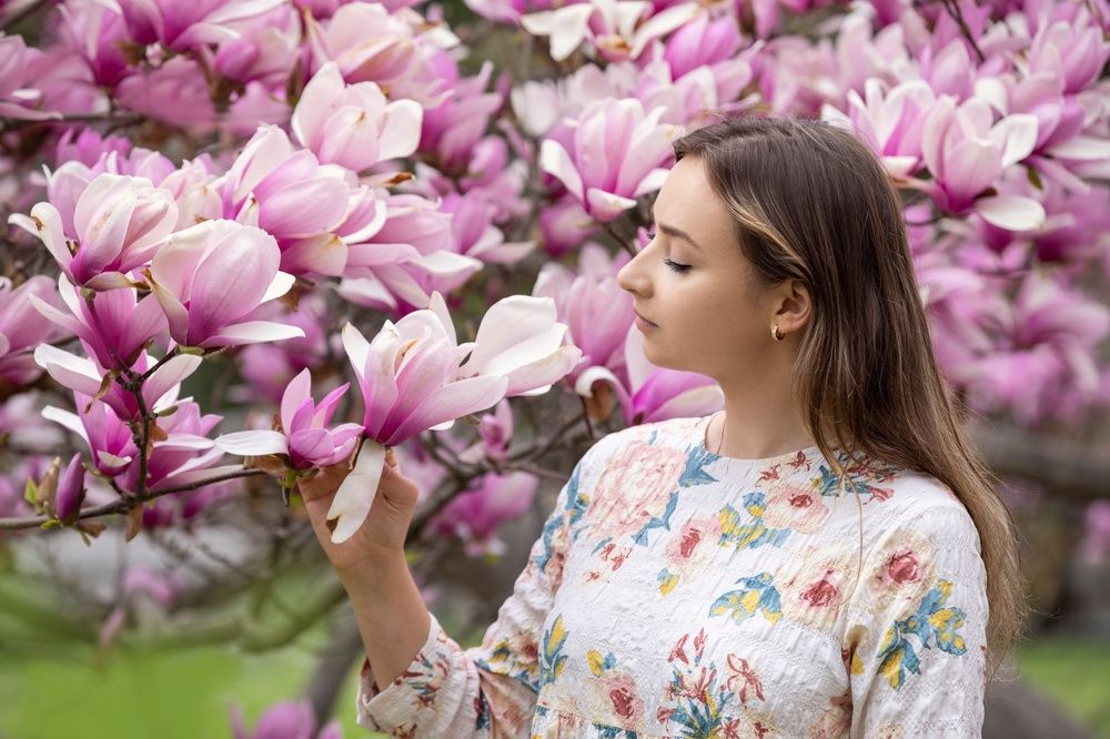 Magnolia