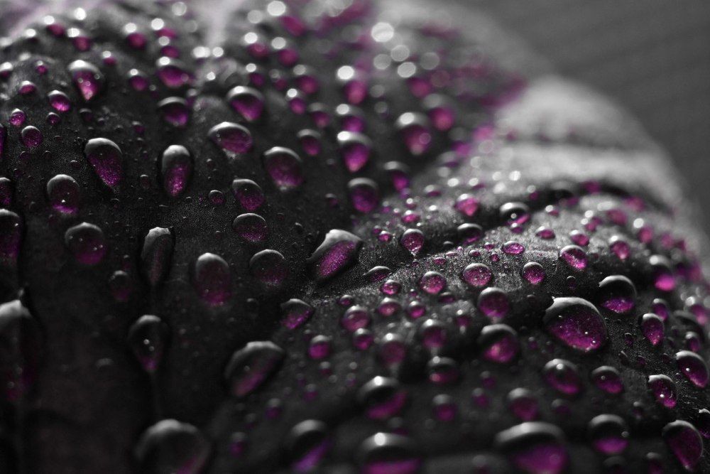 Фотография автора Марина Спильнык