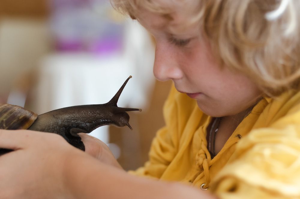 Фотография автора Балановская Виктория