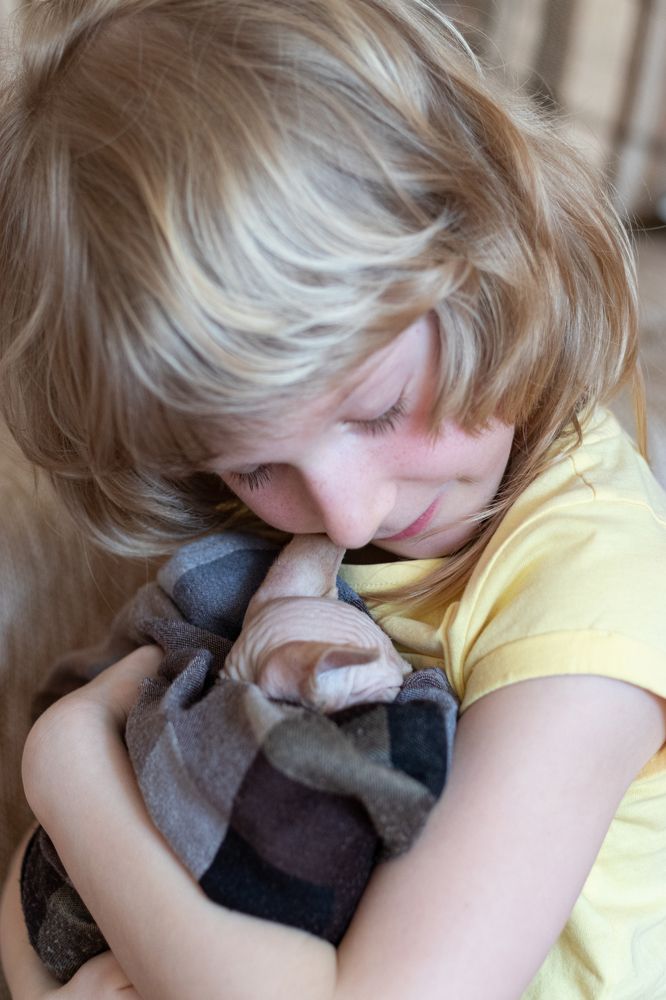 Фотография автора Балановская Виктория