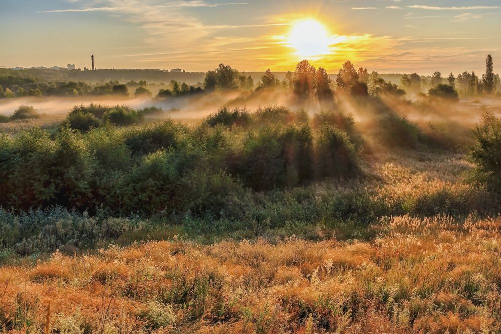 Утренний туман..