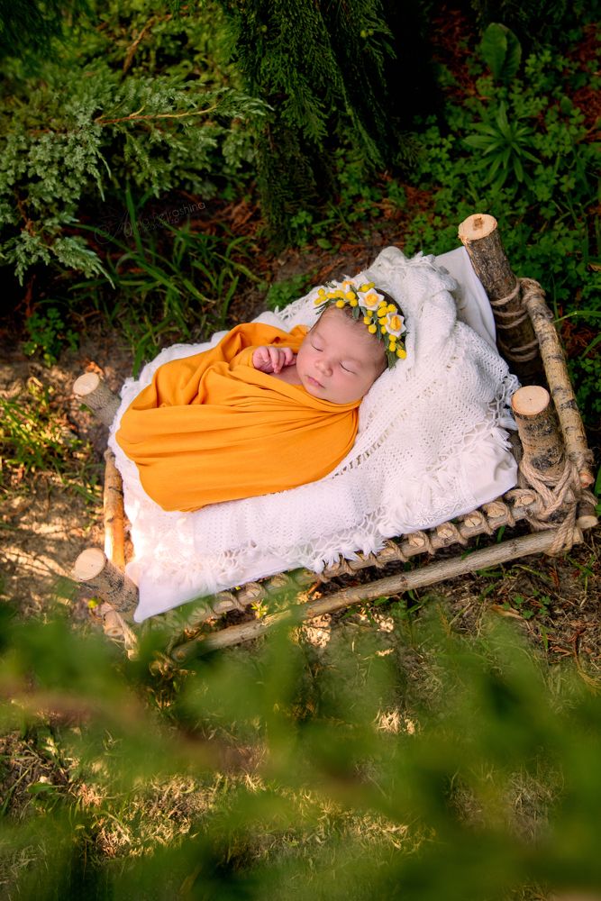 Photograph by Алина Петрашина