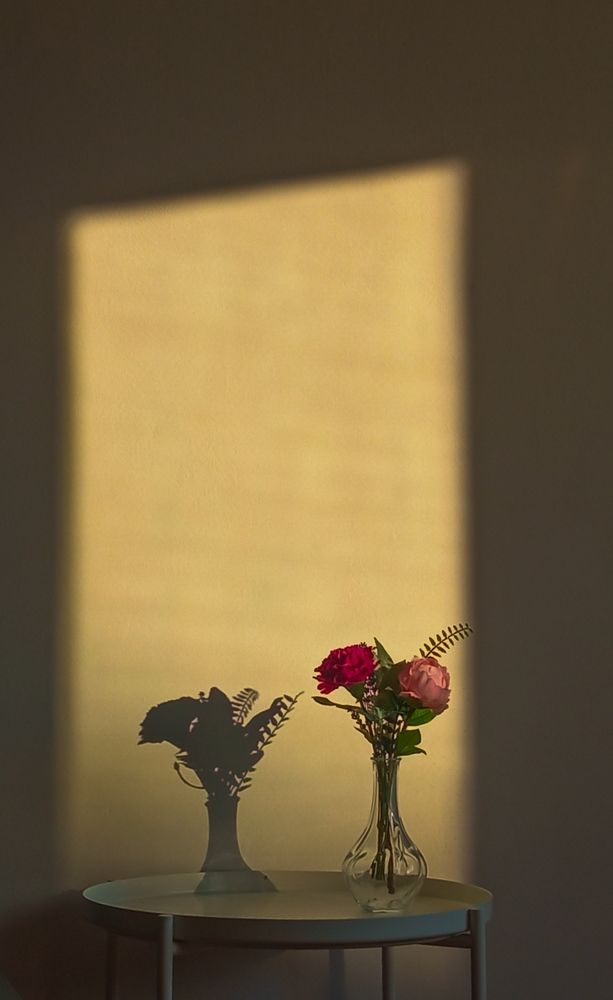 Photograph by Weinstein Isabela