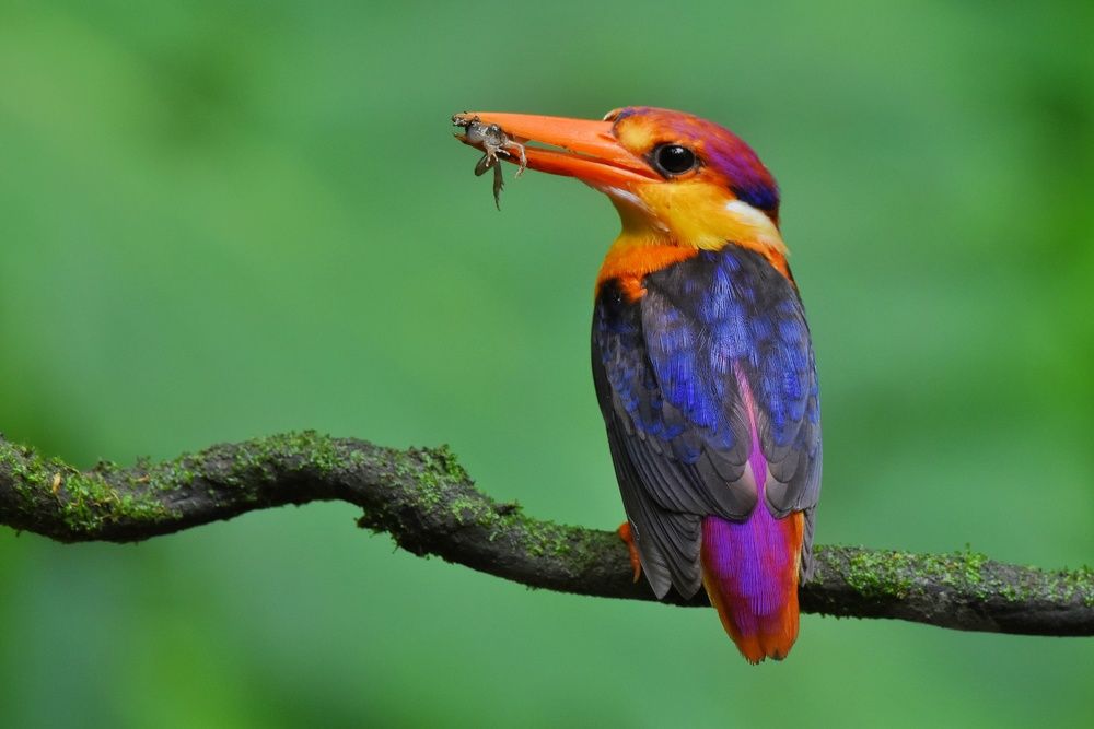 Photograph by Vijay Pakhare