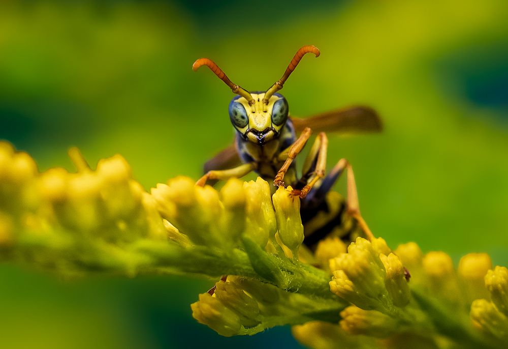 Photograph by Margit Helm