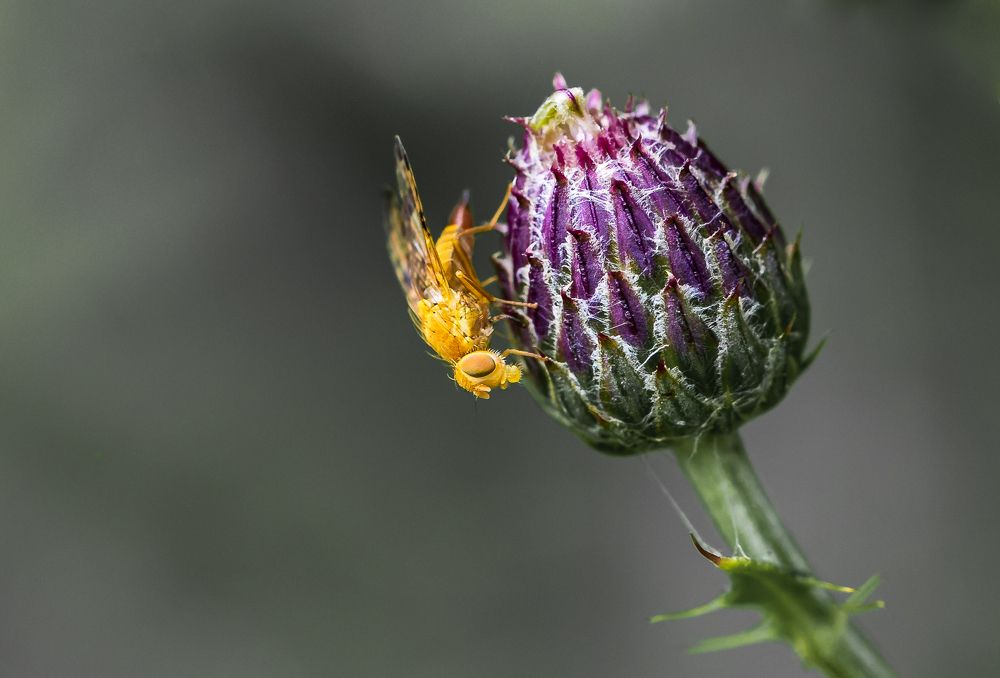 Photograph by Margit Helm