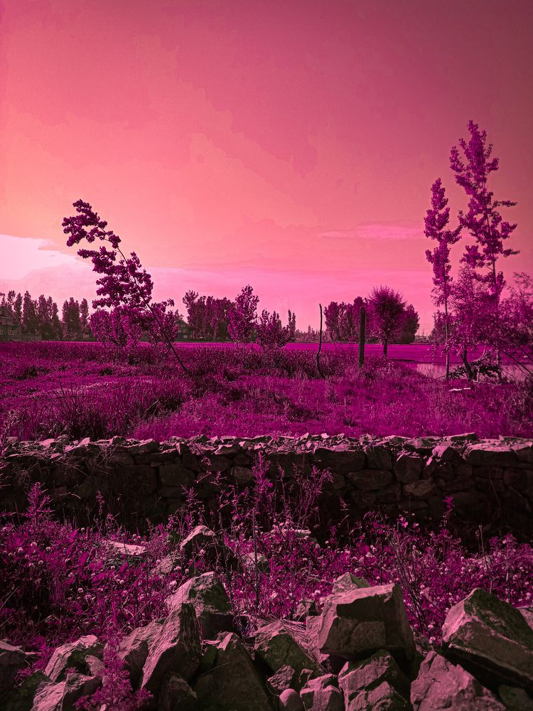 Photograph by Amitpal Singh