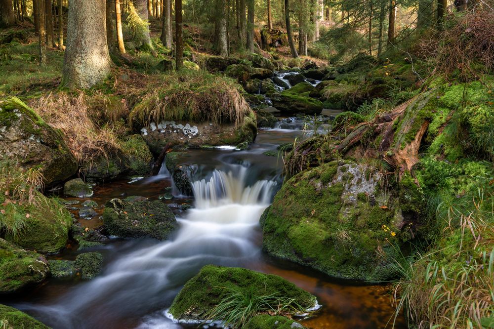 Photograph by Евгения Чех