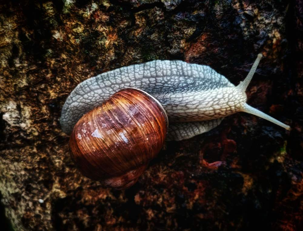 Photograph by Veronica Kravchonok