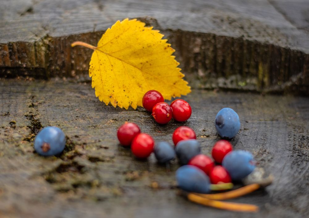 Photograph by Александр Бакин