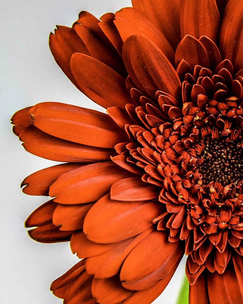 Фотография автора Raymond Asiala