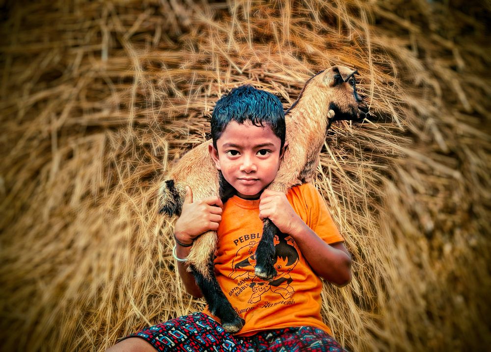 Фотография автора PRADIPTAMOY PAUL