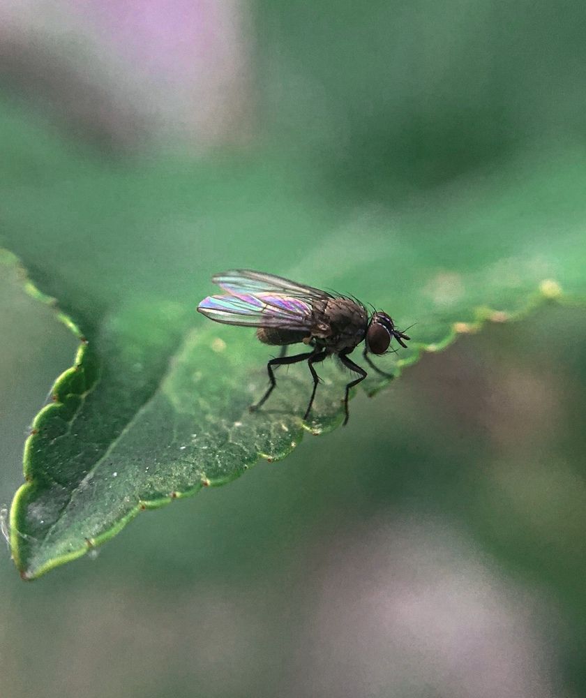 Photograph by roya razaghi