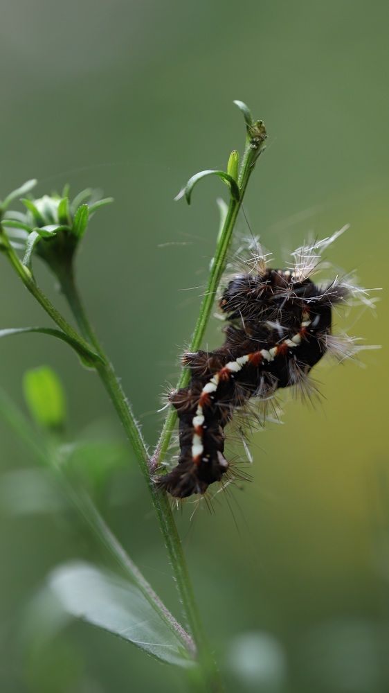 Photograph by Елена Тимченко