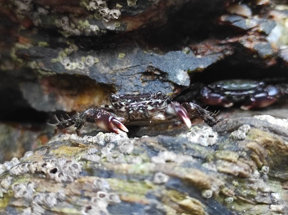 Photograph by Miguel Angel