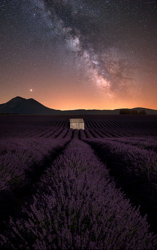 Photograph by Lopes Luis