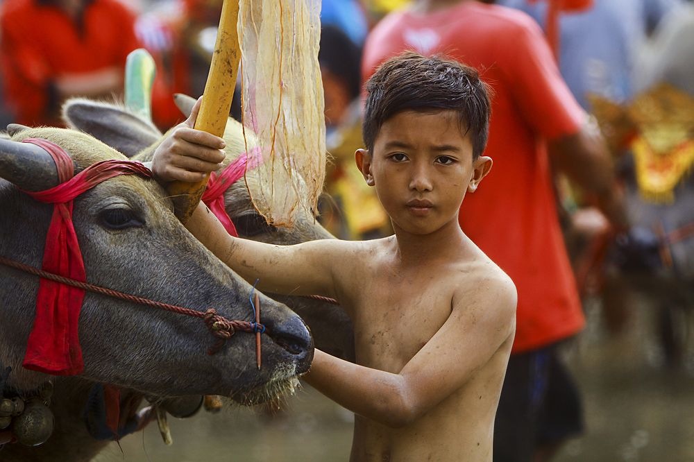 Photograph by dewa putra