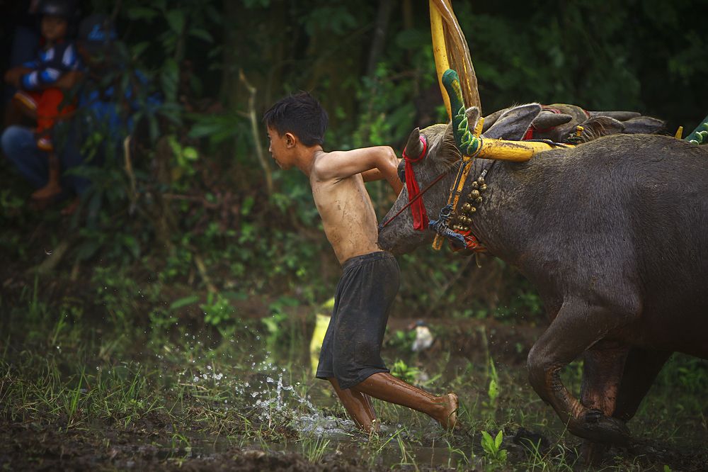 Photograph by dewa putra