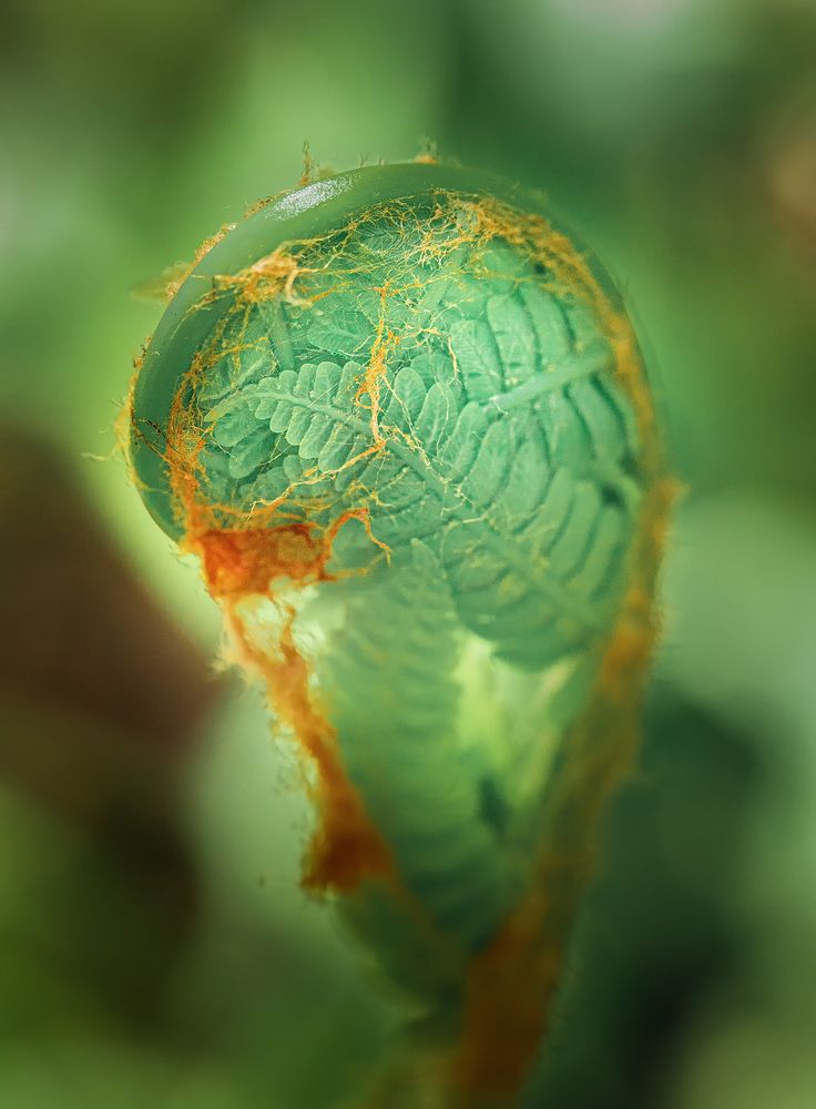 Фотография автора Анна Олещук