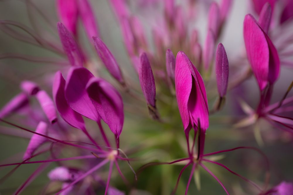 Photograph by Mircea Puscas